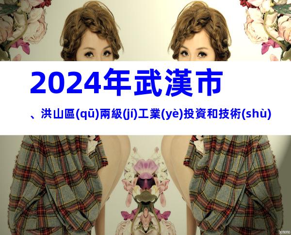 2024年武漢市、洪山區(qū)兩級(jí)工業(yè)投資和技術(shù)改造類專項(xiàng)資金申報(bào)條件、獎(jiǎng)補(bǔ)、材料、時(shí)間